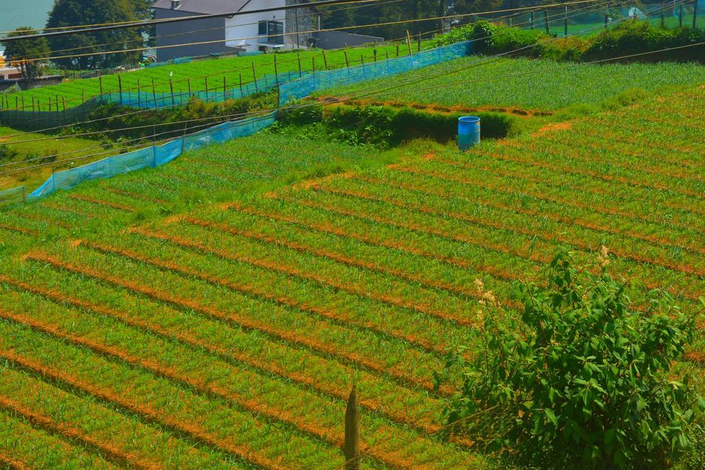 努沃勒埃利耶 希尔天堂旅馆酒店 外观 照片